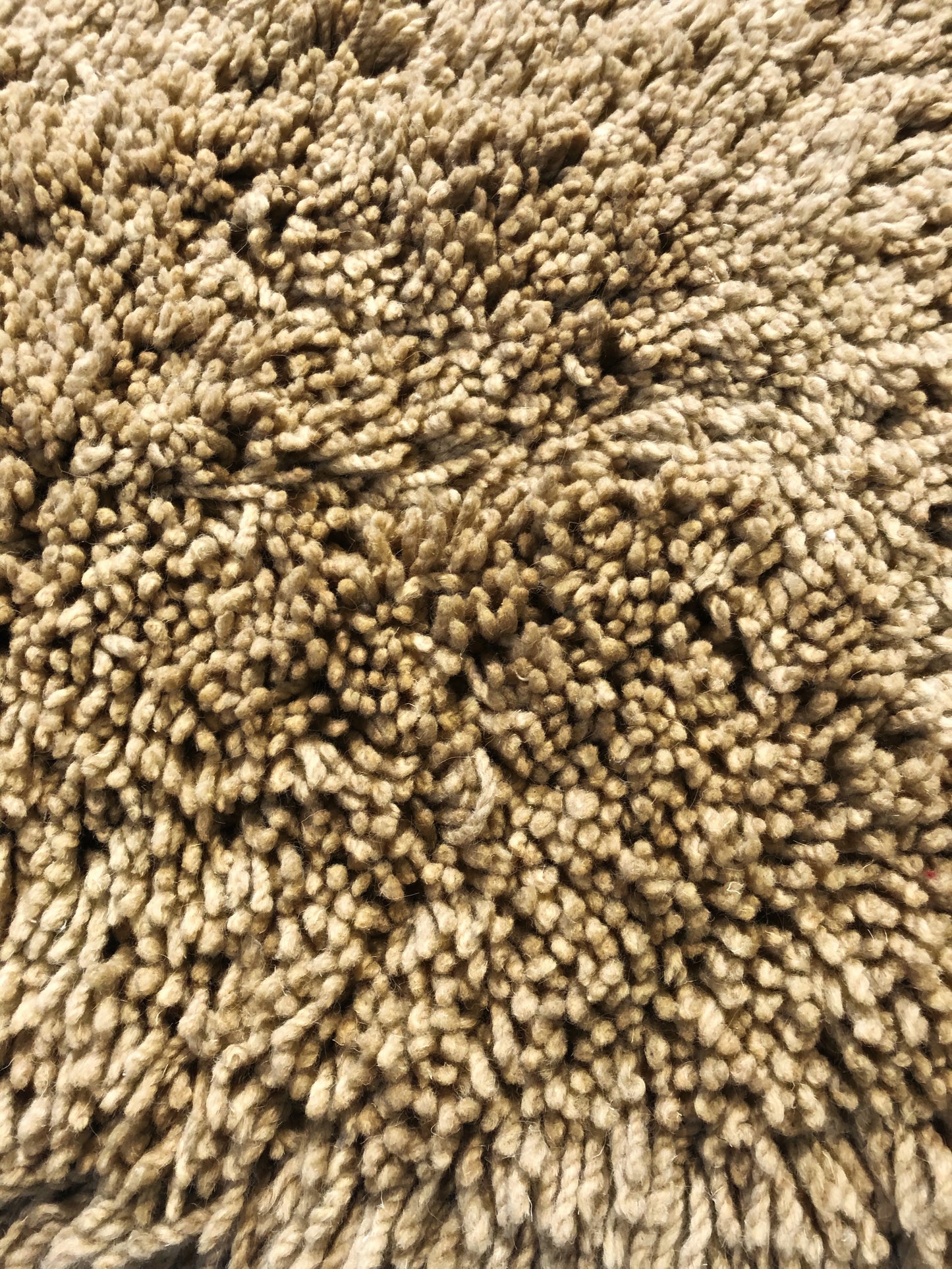 white_carpet