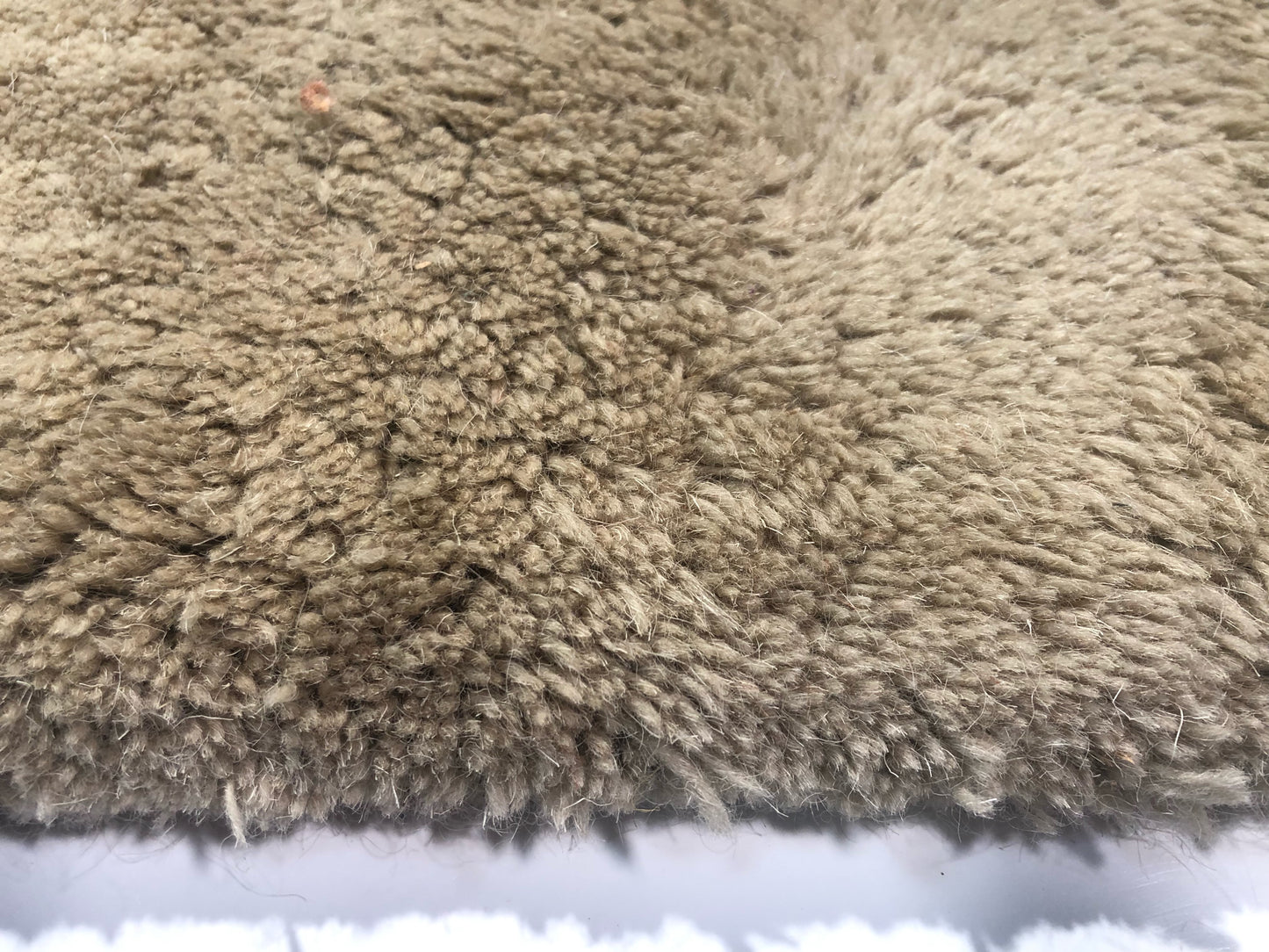 carpet