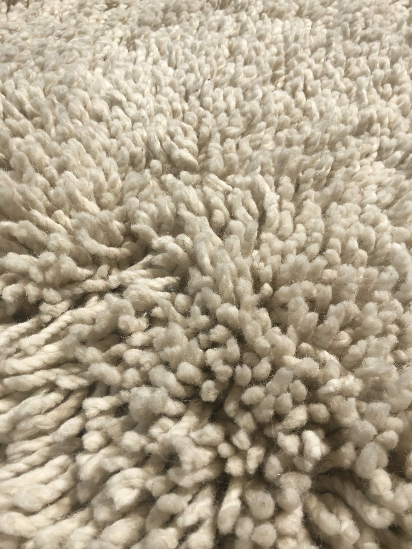 fur_carpet