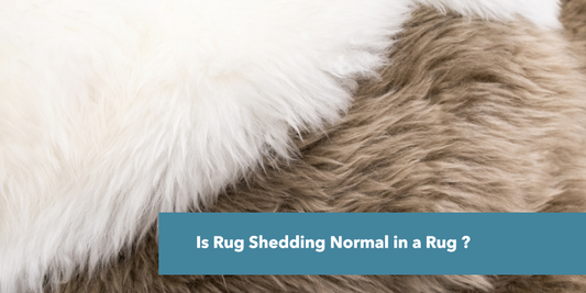 Is Rug Shedding Normal in a Rug ?